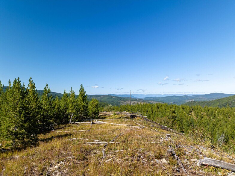 More Photos Of Nhn Logan Creek Road, Kila Land For Sale