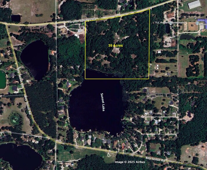 Primary Photo Of 0000 Tarpon Springs Rd, Odessa Land For Sale