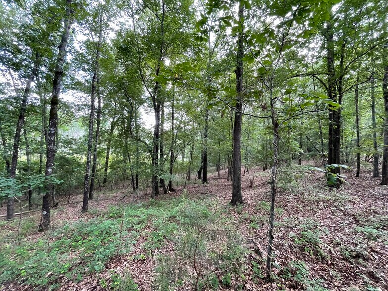 More Photos Of 229 Colbert Bridge Road, Windsor Land For Sale