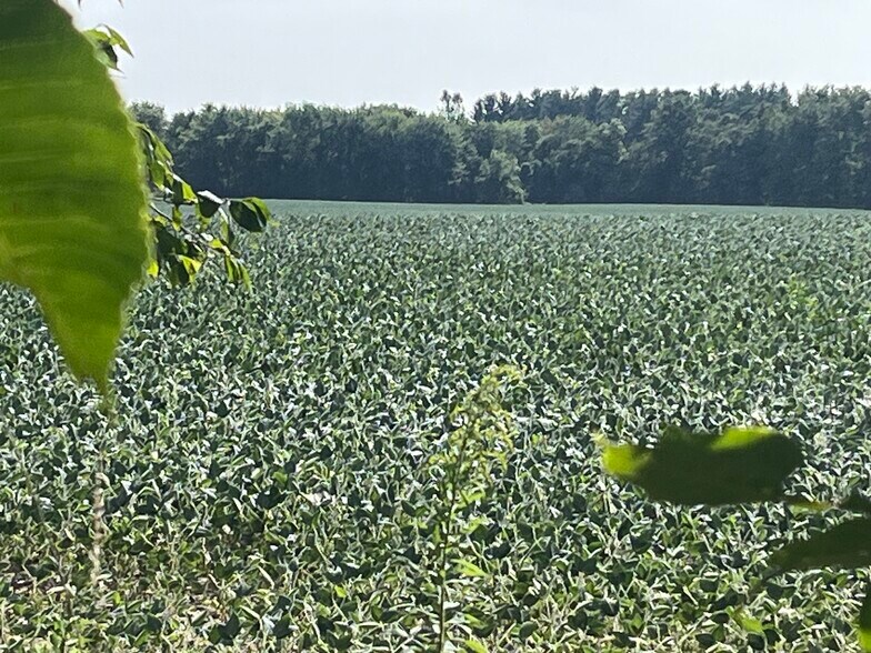 More Photos Of 345 W Division Rd, Valparaiso Land For Sale