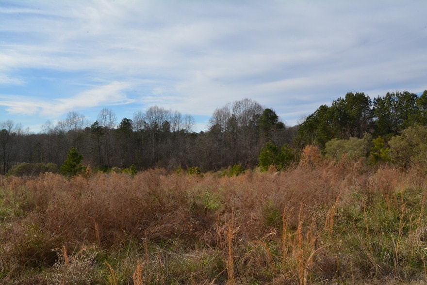 More Photos Of 1200 Granite Falls Blvd, Rolesville Land For Sale