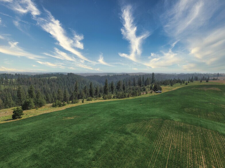 More Photos Of 45XXX Devore Rd, Davenport Land For Sale