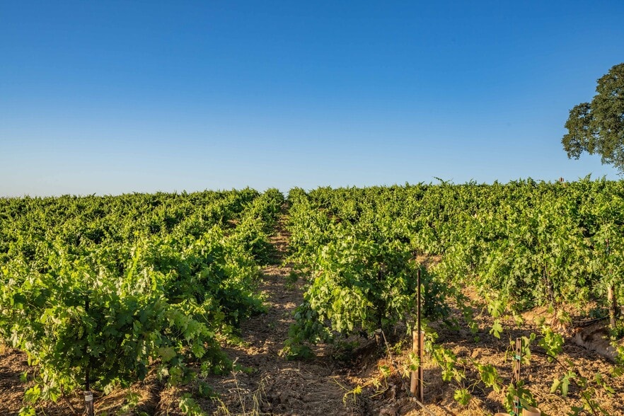 More Photos Of 18550 Silver Oak Ln, Plymouth Land For Sale