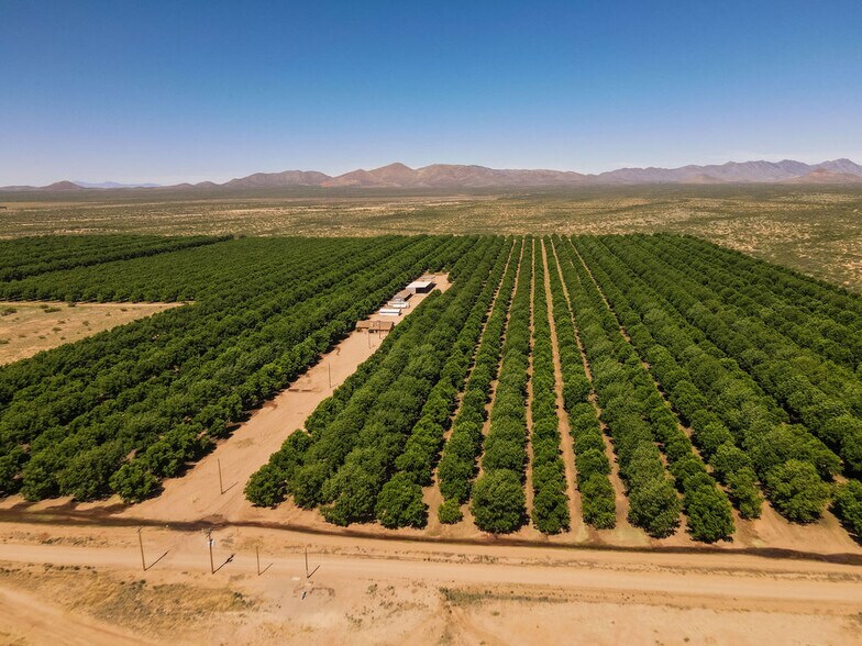 More Photos Of 4968 W Gleeson Rd, Elfrida Land For Sale