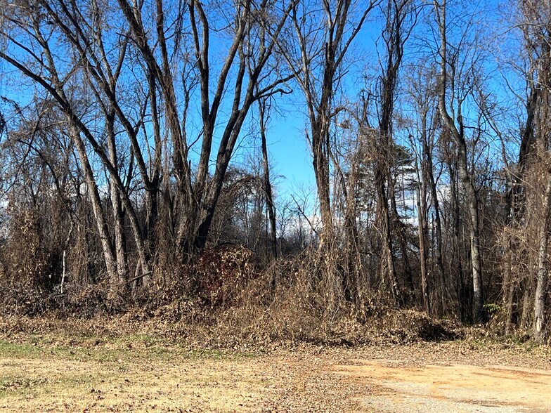 More Photos Of 0 N Main St, Dobson Land For Sale