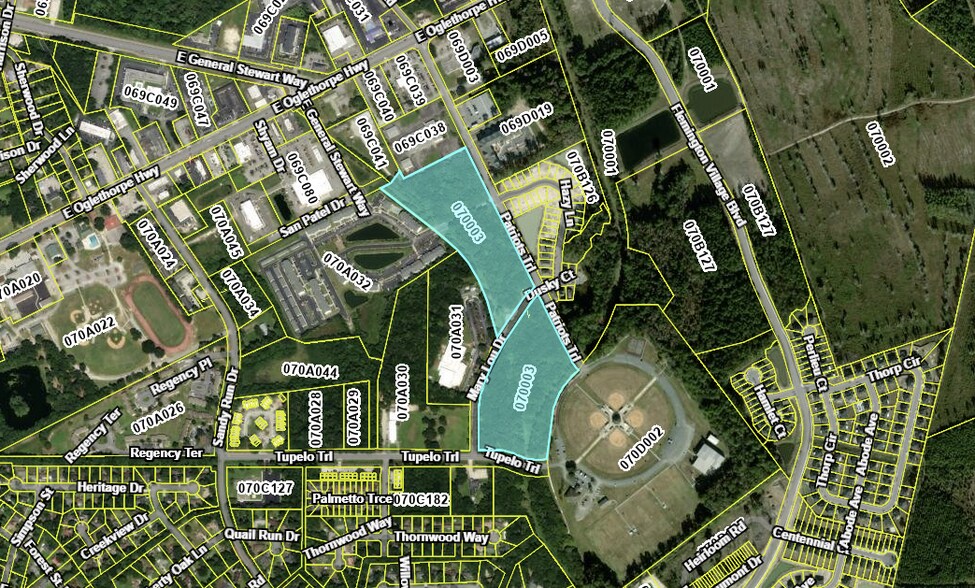 Primary Photo Of 0 Patriots Trl, Hinesville Land For Sale