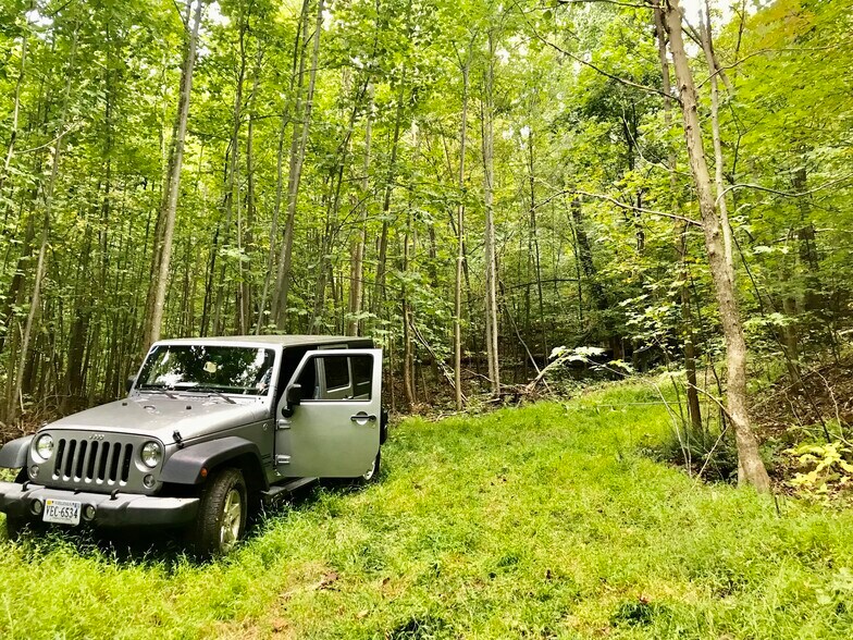 More Photos Of Near Little Washington Virginia, Washington Land For Sale