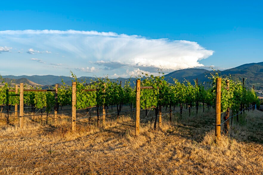 More Photos Of 786 Pompadour Dr, Ashland Land For Sale