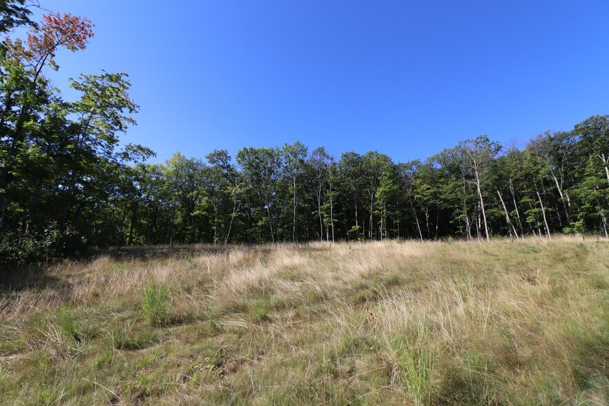 More Photos Of 35480 Whitetail Ave, Bayfield Land For Sale