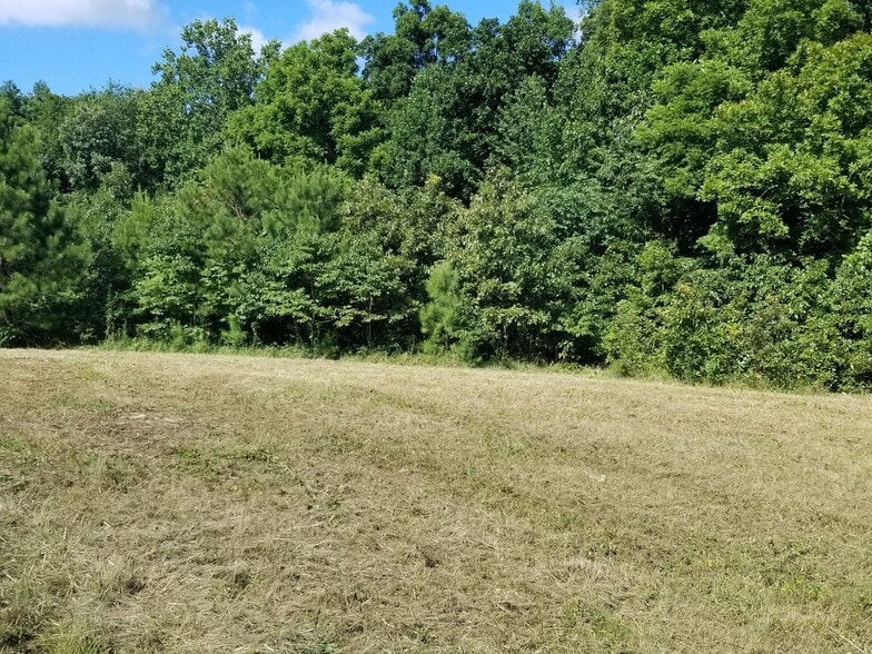 More Photos Of 1331 Highway 100, Centerville Restaurant For Sale