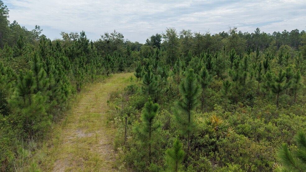 More Photos Of 9021 Mc Clelland Rd, Jacksonville Land For Sale