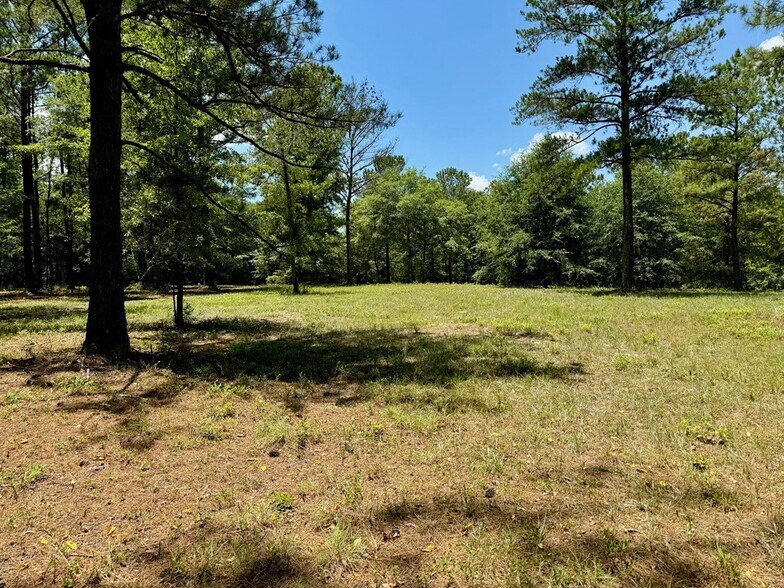 More Photos Of 241 Foskey Cemetery Rd, Adrian Land For Sale