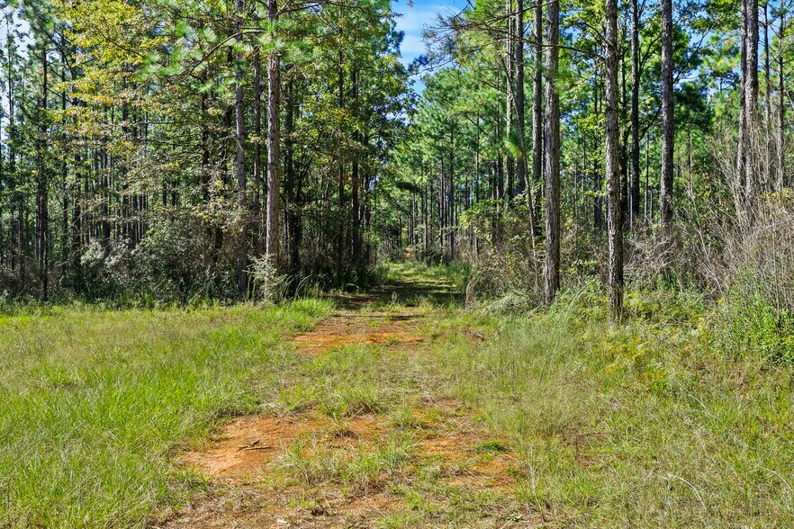More Photos Of 0 Nokomis Road, Walnut Hill Land For Sale