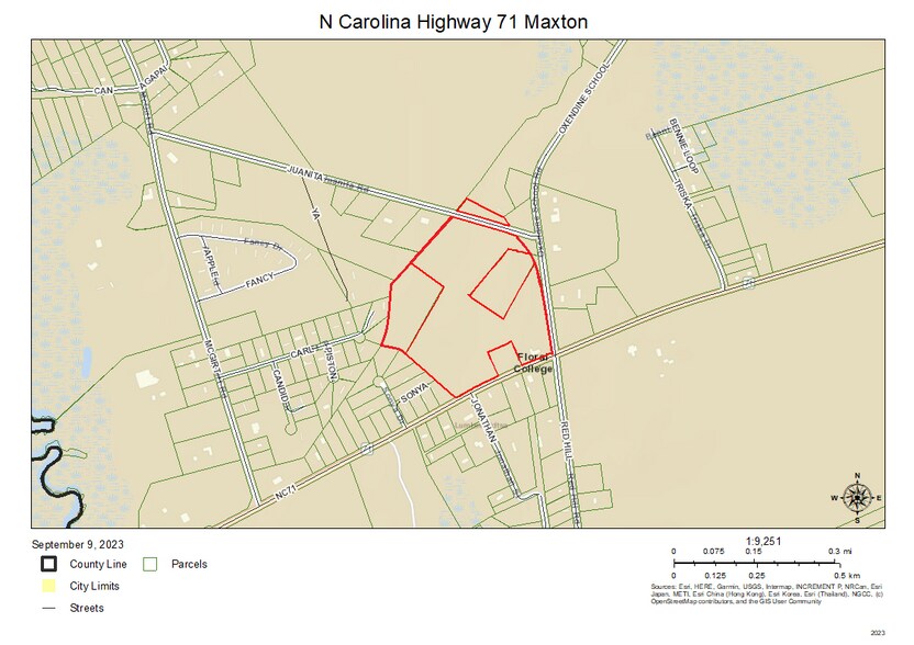 More Photos Of 2641 NC-71, Maxton Land For Sale