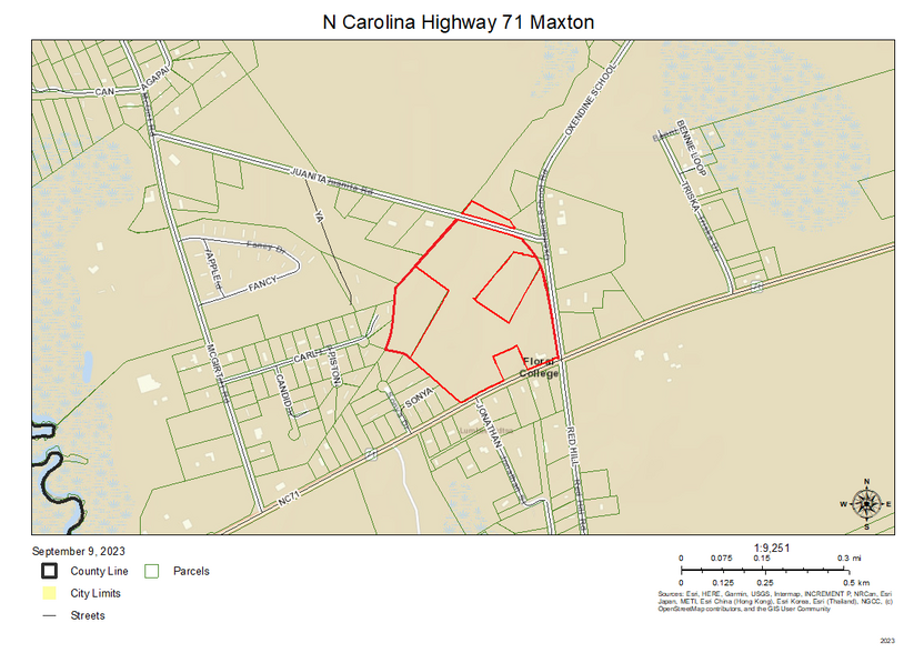 Primary Photo Of 2641 NC-71, Maxton Land For Sale