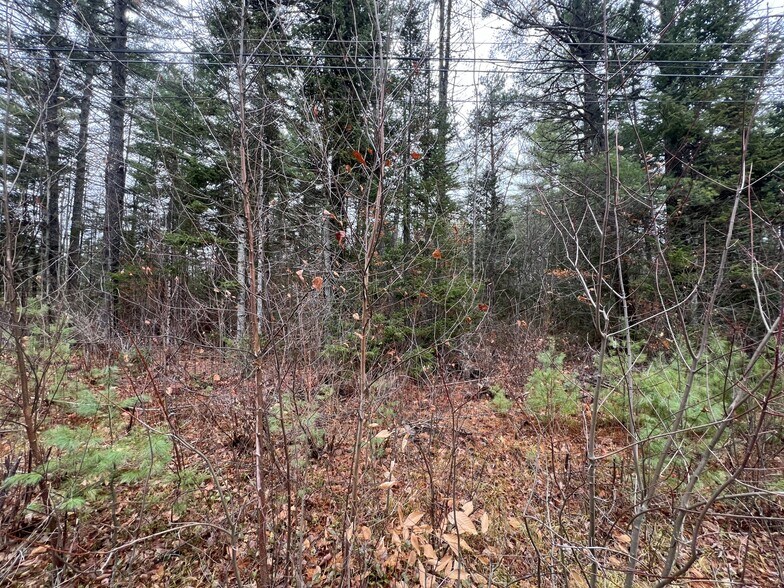 More Photos Of Gray Fox Road, Effingham Land For Sale