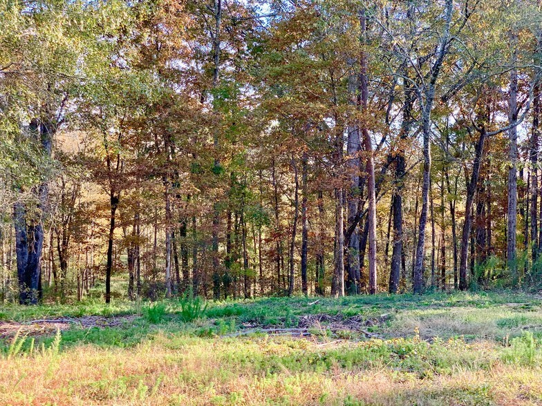 More Photos Of 1882 Barber Creek Rd, Statham Land For Sale