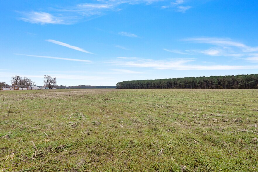 More Photos Of 10131 Ramsey st, Linden Land For Sale