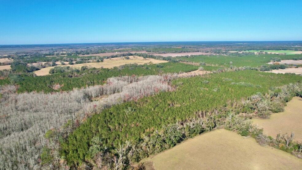 More Photos Of , Tallahassee Land For Sale