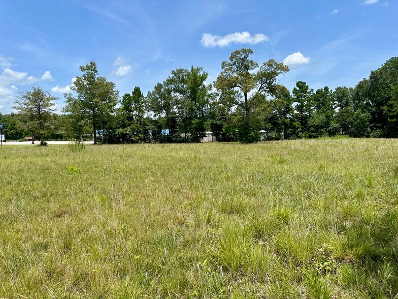 More Photos Of 119 Flagon Rd, Dry Prong Land For Sale