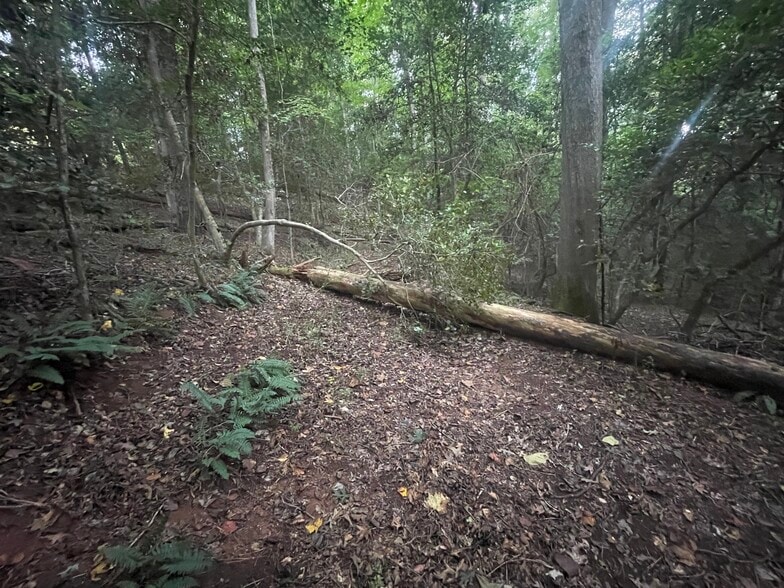 More Photos Of Walhalla Highway Hwy @ Holder Knob Road, Pickens Land For Sale
