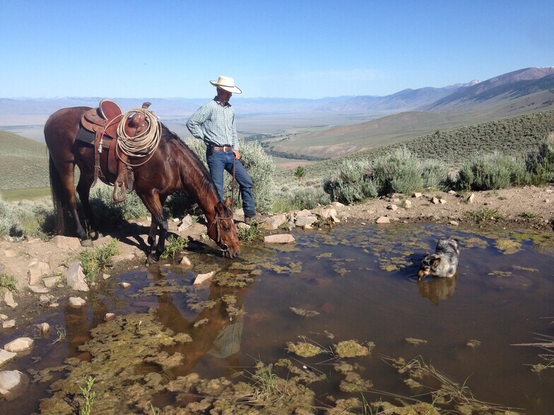 More Photos Of 3750 Pahsimeroi Rd, May Land For Sale