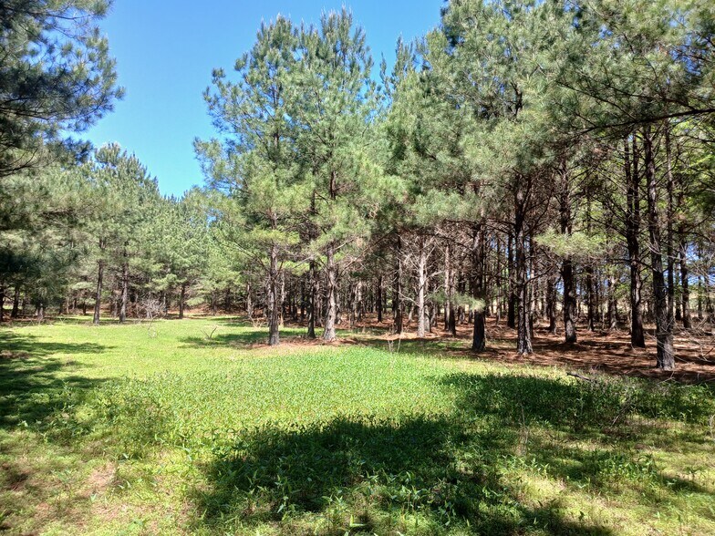 More Photos Of 414000 E 1920 Rd, Antlers Land For Sale