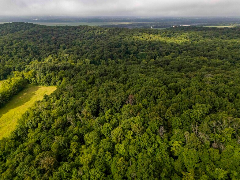 More Photos Of Talley Rd, Hartsburg Land For Sale