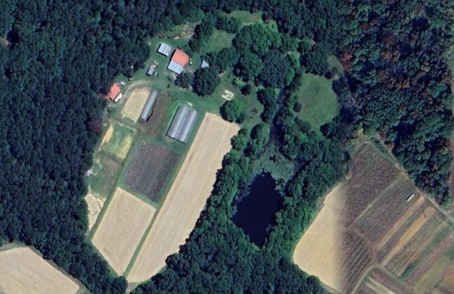 More Photos Of 36299 Finger Rd, Mount Pleasant Land For Sale