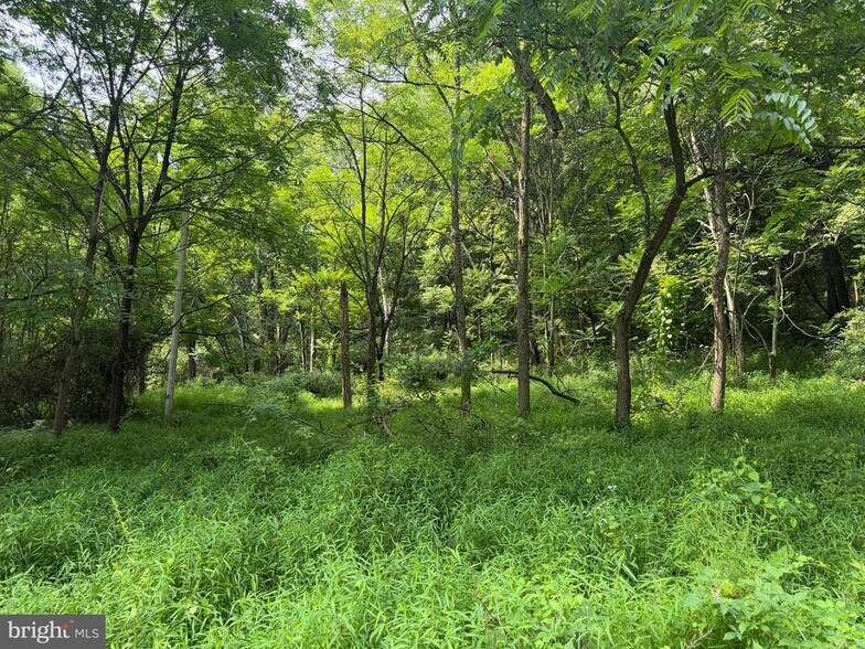 More Photos Of Schenck Road, Wells Tannery Land For Sale
