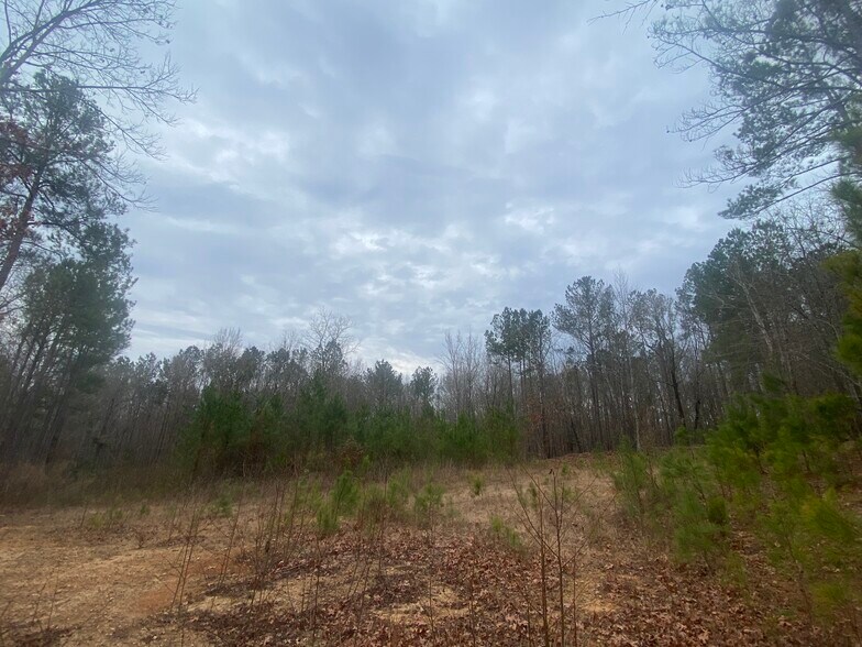 More Photos Of 140 Cora Dr, Columbia Land For Sale