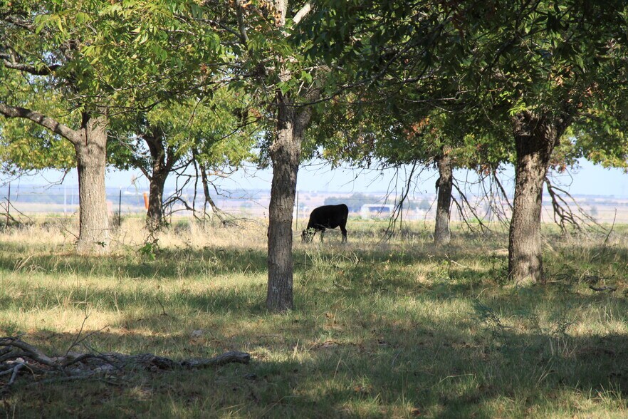 More Photos Of 13050 E State Highway 29, Georgetown Land For Sale