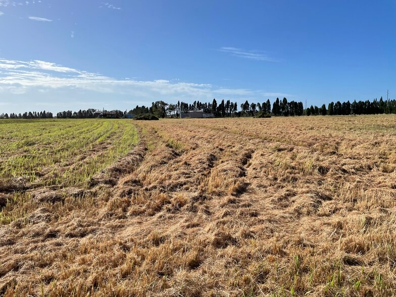 More Photos Of 701 E State Road 60, Plant City Land For Sale