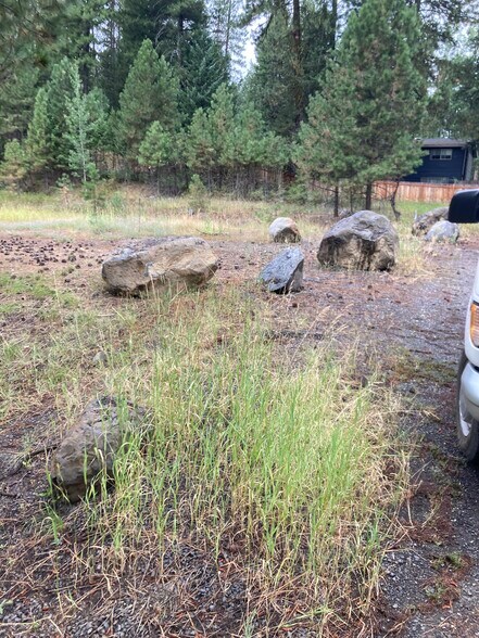 More Photos Of 314 N 3rd St, Mccall Land For Sale