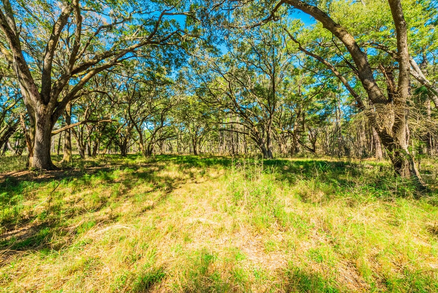 More Photos Of 0 King Rail Lane, Edisto Island Land For Sale