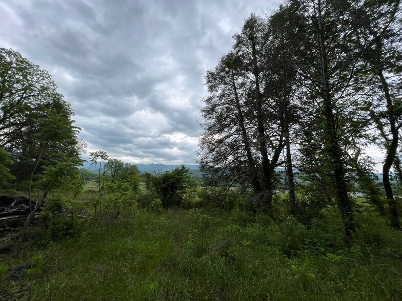 More Photos Of 6387 Airport Rd, Andrews Land For Sale