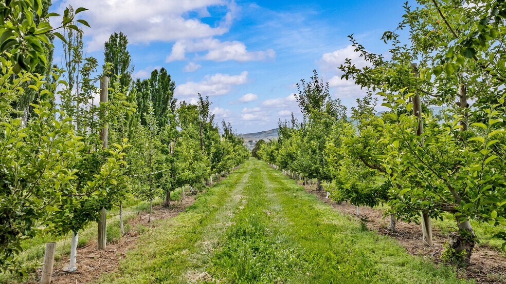 More Photos Of 20809 Nowhere Rd, Eckert Land For Sale