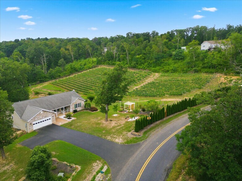 Primary Photo Of 1309 Redland Rd, Cross Junction Winery Vineyard For Sale