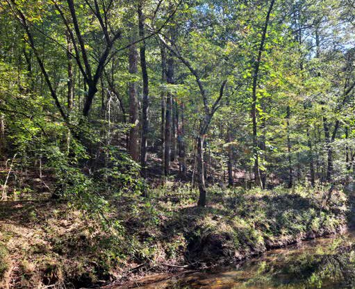 More Photos Of 0 AL 13, Nauvoo Land For Sale