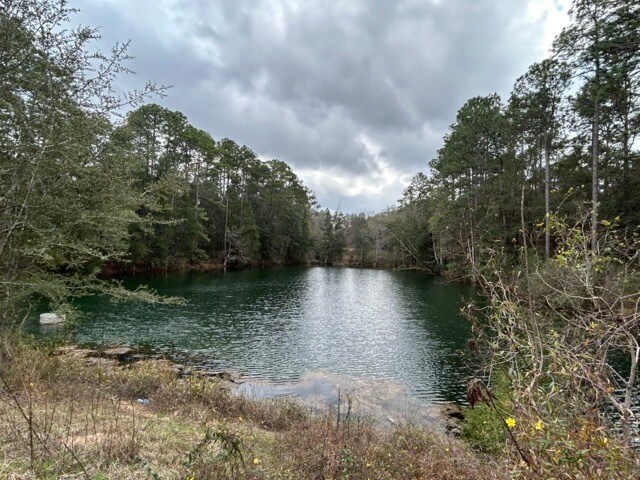 More Photos Of 000 Pearl Street, Crestview Land For Sale