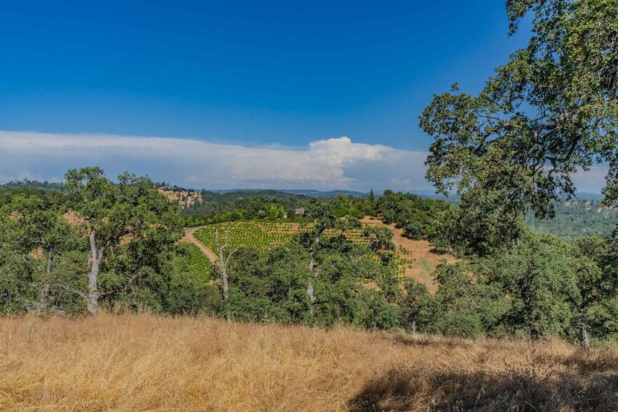 More Photos Of 18550 Silver Oak Ln, Plymouth Land For Sale