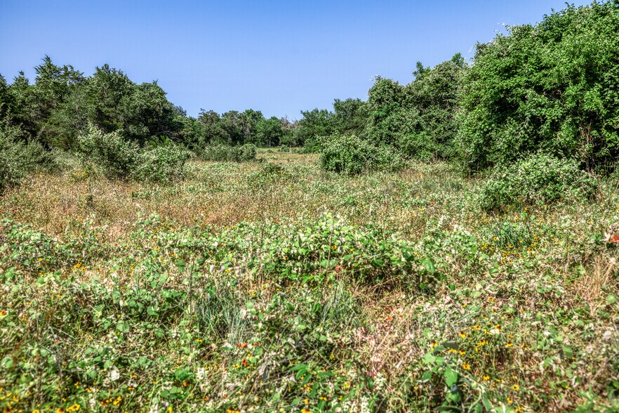 More Photos Of TBD (+/-88 Acres) Smith Rd, Bastrop Land For Sale