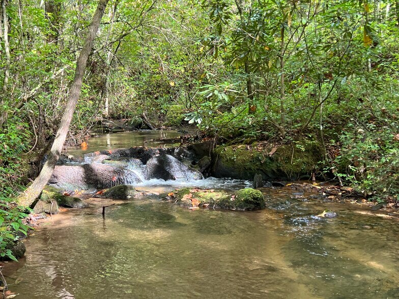 Primary Photo Of Whitecliff Drive, Ellijay Land For Sale