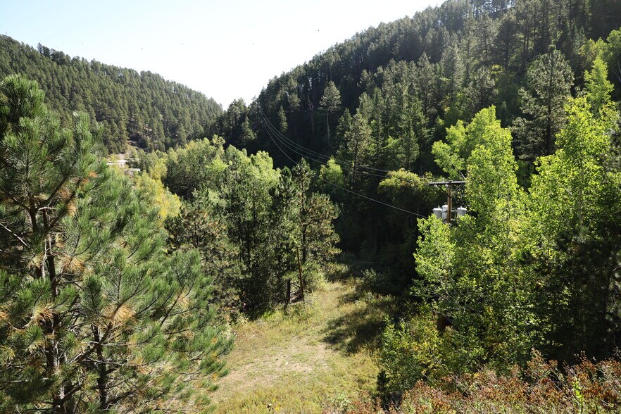 More Photos Of TBD Cutting Mine Road, Lead Land For Sale