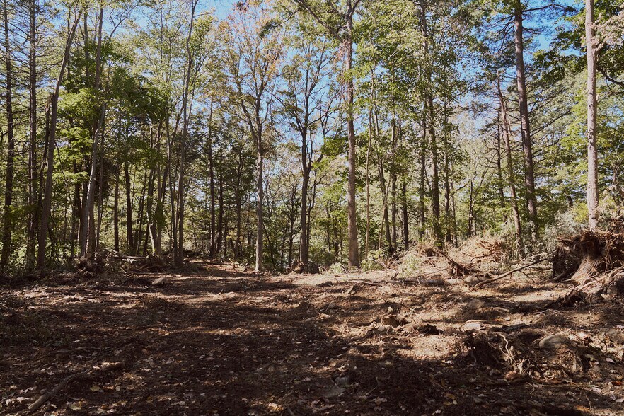 More Photos Of 1296 Flatbush Rd, Kingston Land For Sale