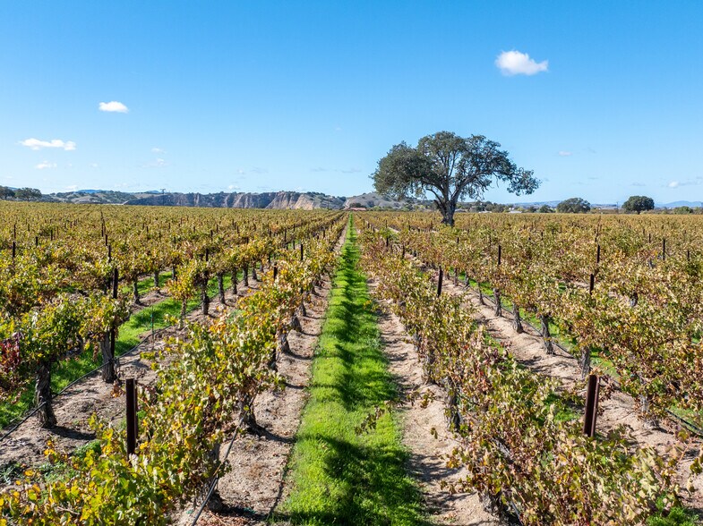 More Photos Of 7790 Airport Rd, Paso Robles Land For Sale