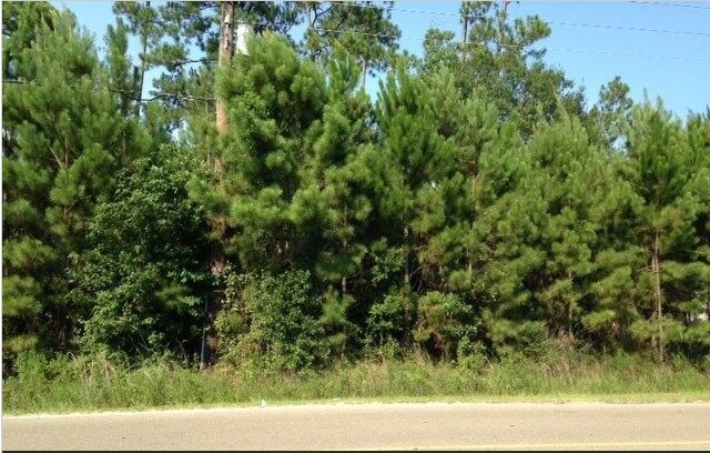 More Photos Of 63380 Old Military Rd, Pearl River Land For Sale