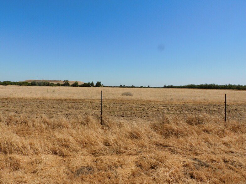 More Photos Of 22492 Road 19, Chowchilla Land For Sale