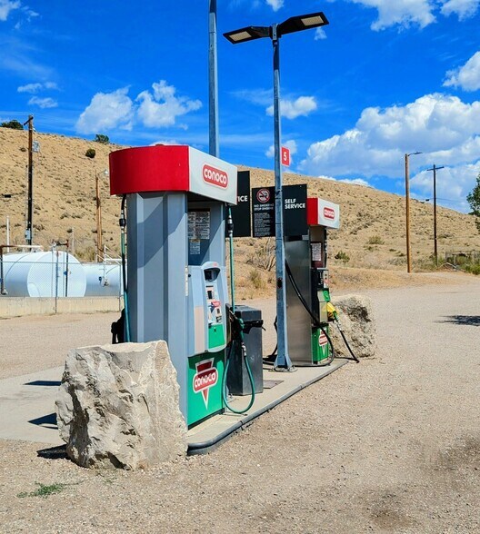 More Photos Of , Dinosaur General Retail For Sale