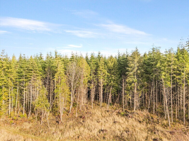 More Photos Of XXX Gravelly Beach Loop, Olympia Land For Sale